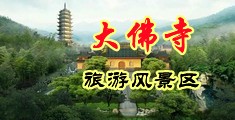 日本插鸡中国浙江-新昌大佛寺旅游风景区